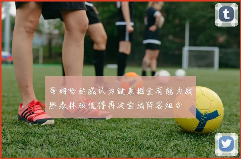 蒂姆哈达威认为健康掘金有能力战胜森林狼值得再次尝试阵容组合