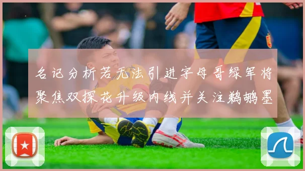 名记分析若无法引进字母哥绿军将聚焦双探花升级内线并关注鹈鹕墨菲