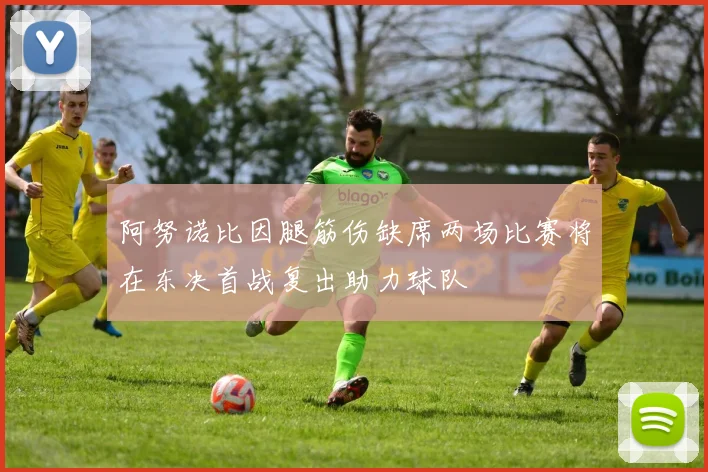 阿努诺比因腿筋伤缺席两场比赛将在东决首战复出助力球队