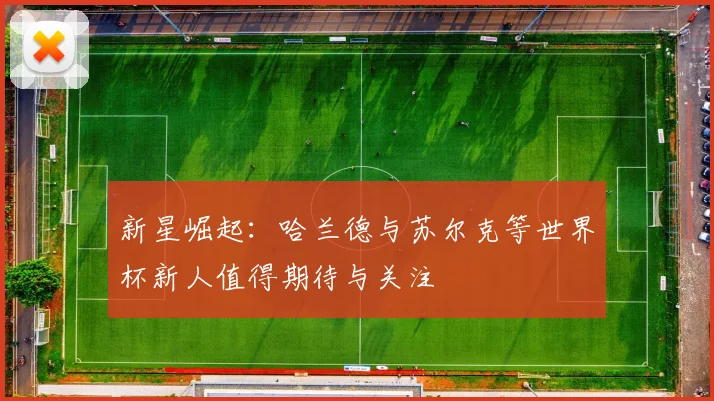 新星崛起：哈兰德与苏尔克等世界杯新人值得期待与关注
