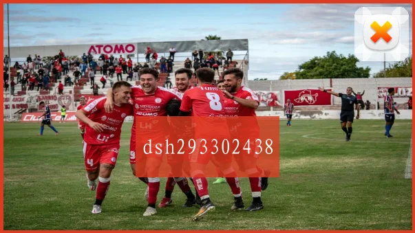 dsh293302438