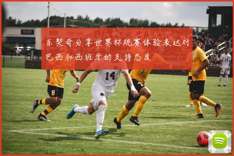 东契奇分享世界杯观赛体验表达对巴西和西班牙的支持态度